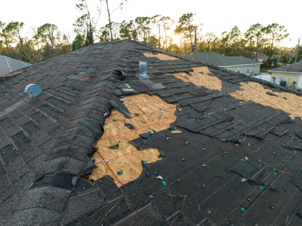 Best Asphalt Shingle Roofing  in Oakland City, IN